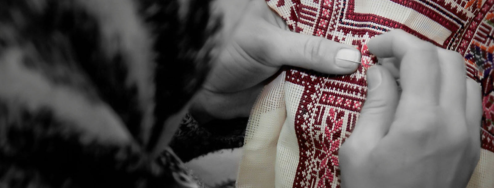 INAASH