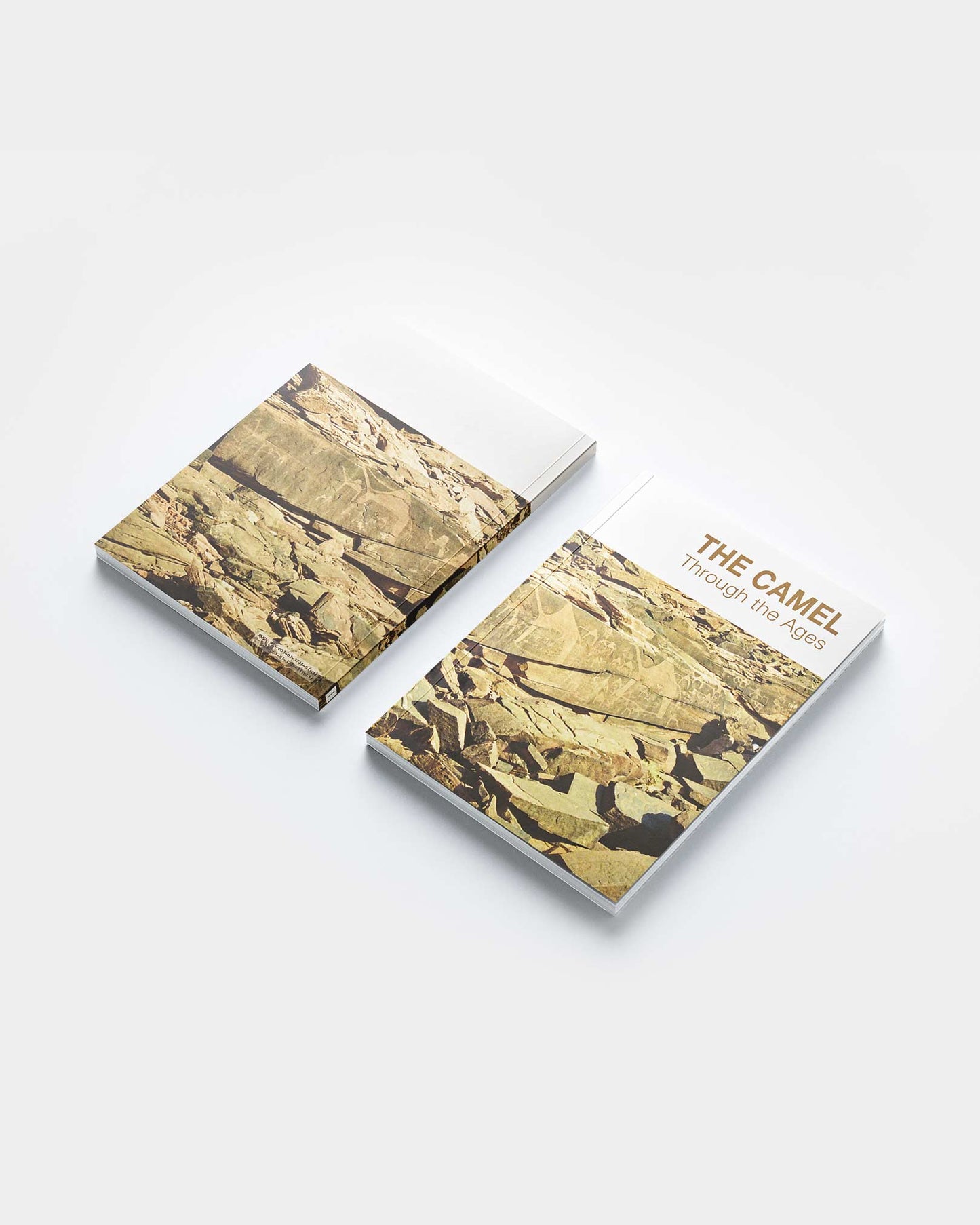 DAR LAYAN - The Camel Through The Ages