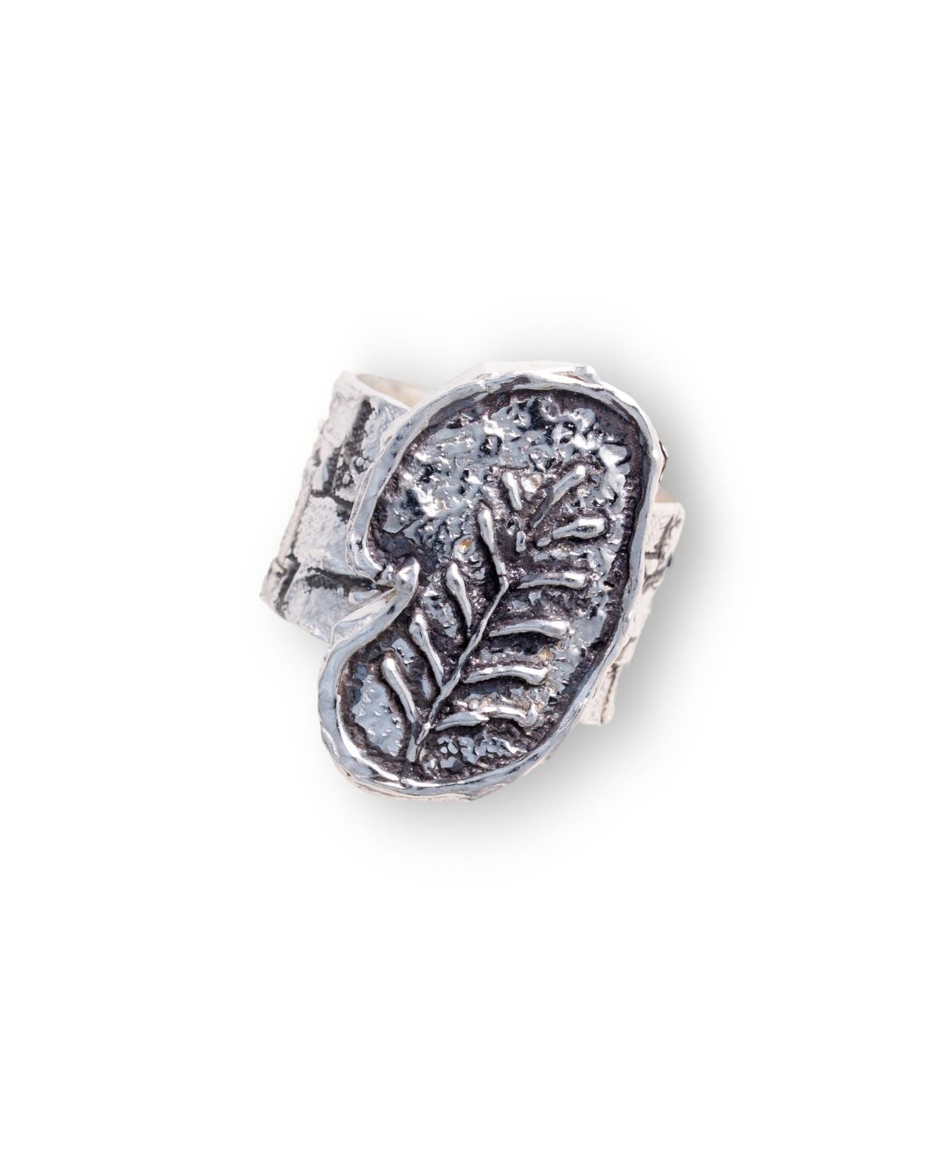 FARBASTA - Fragments of The Jar - Ring