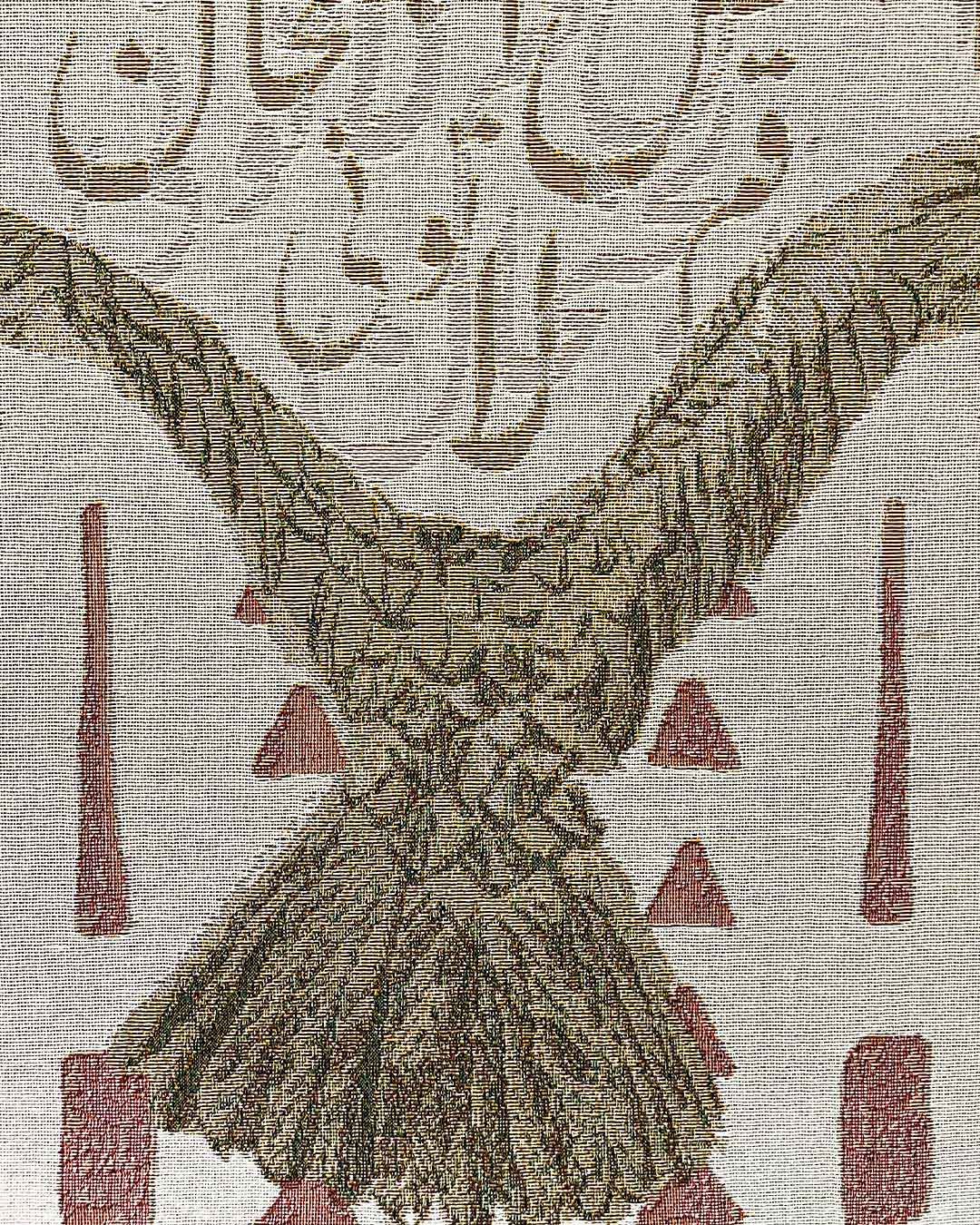 MIMOSA - Saudi Falcon