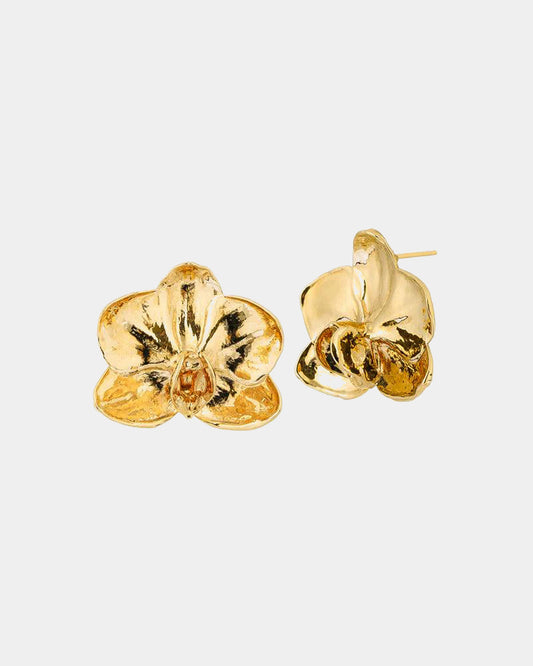 Blooming Beauty Orquídea Flower Stud Earrings