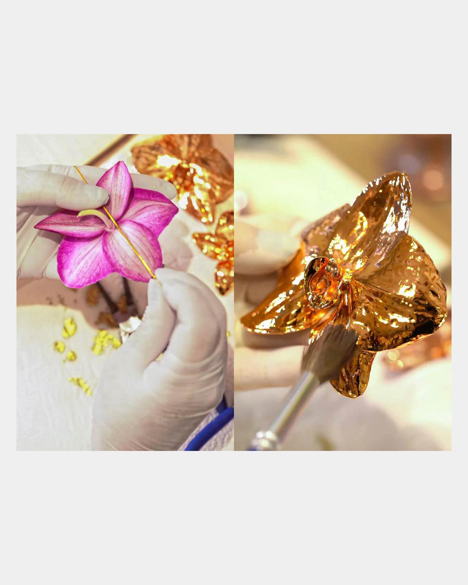 Blooming Beauty Orquídea Flower Stud Earrings Making